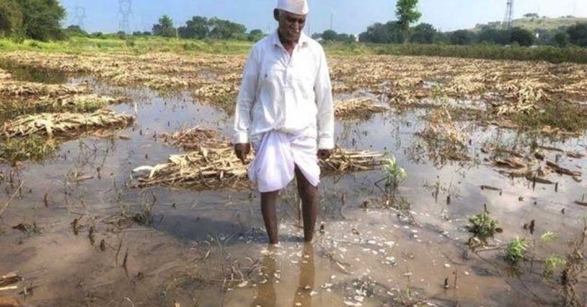 अवकाळी पावसामुळे ९९ हजार ३८१ हेक्टर क्षेत्रावरील पिकांचे नुकसान, वाचा कोणत्या जिल्ह्यात किती पिकांची नासाडी?