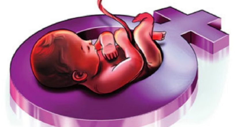 स्त्रीभ्रूण हत्या रोखण्यासाठी कायद्यात करणार आवश्यक सुधारणा, माहिती देण्यासाठी १०४ क्रमांक होणार अधिक सक्षम