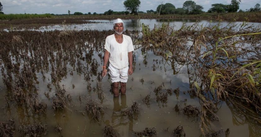 तुमचा तालुका पूर्णतः अतिवृष्टीग्रस्त की अंशतः अतिवृष्टीग्रस्त घोषित? कोणत्या तालुक्याला काय मिळणार फायदे? वाचा संपूर्ण यादी