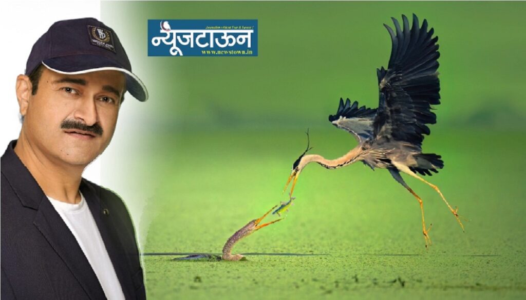 छत्रपती संभाजीनगरचे छायाचित्रकार बैजू पाटील यांना अमेरिकेतील प्रतिष्ठेचा ‘रिफोकस वर्ल्ड फोटोग्राफी अवॉर्ड’, जागतिक पुरस्कारावर प्रथमच भारतीयाचे नाव!