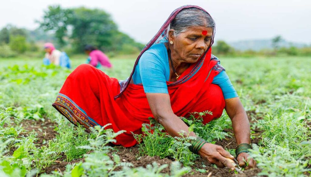 ‘शेतकरी’ या व्याख्येत महिलांचा समावेश करून समान वेतन, अनुकूल कर्ज व विस्तार सेवा उपलब्ध करून द्या: एआय एग्री परिषदेत तज्ज्ञांची शिफारस