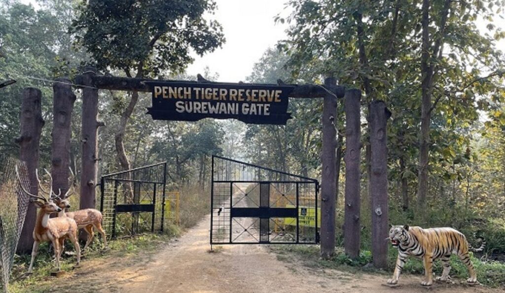 पेंच व्याघ्र प्रकल्पाच्या परिसरात वाघ, बिबट्यांपासून सतर्कतेचा इशारा देणारी ‘एआय’ यंत्रणा कार्यान्वित, पेंच वन्यजीव क्षेत्रातील ४० ठिकाणचे मिळणार अलर्टस्