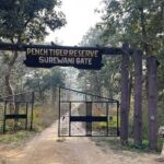 पेंच व्याघ्र प्रकल्पाच्या परिसरात वाघ, बिबट्यांपासून सतर्कतेचा इशारा देणारी ‘एआय’ यंत्रणा कार्यान्वित, पेंच वन्यजीव क्षेत्रातील ४० ठिकाणचे मिळणार अलर्टस्