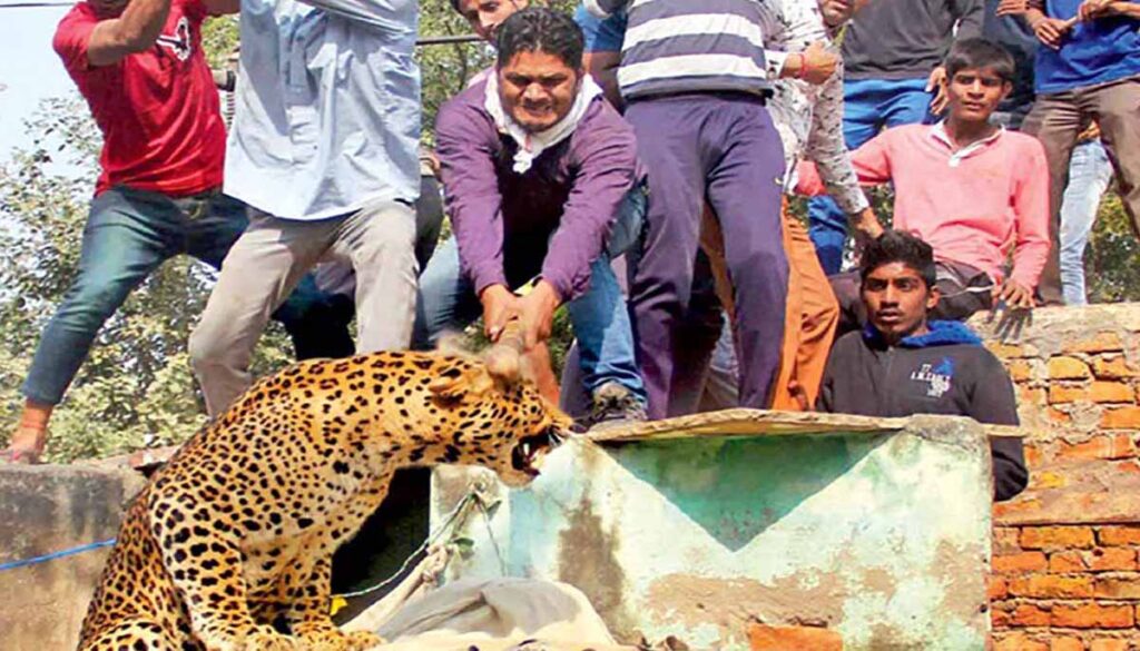 वन्य प्राण्यांच्या हालचालीच्या माहितीसाठी एक हजार गावांमध्ये एआयआधारित अर्लट यंत्रणा, मानव-वन्यजीव संघर्ष टाळण्यासाठी २६० कोटींचा कृतीआराखडा